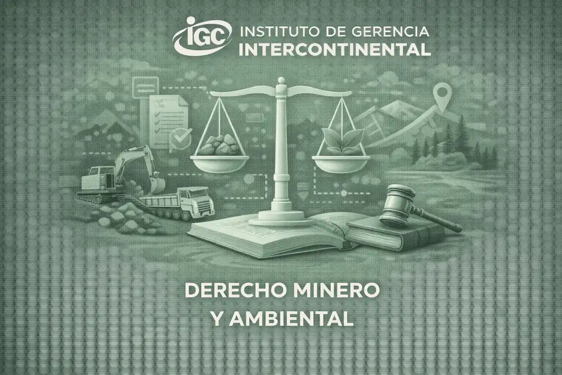 Imagen de Derecho Minero y Ambiental